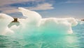 kayaking in Iceland next to glacier iceberg Royalty Free Stock Photo