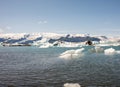 kayaking in Iceland next to glacier iceberg Royalty Free Stock Photo