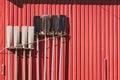 Kayaking paddles hang on the red wall to dry.