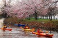 Kayaking on a Spring Day