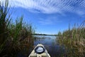 Kayaking under beautiful summer cloudscape reflected on Nine Mile Pond in Everglades National Park, Florida.