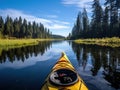 Kayaking through wetlands and forest in