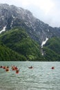 Kayaks on lake