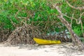 Kayaks at the Mangel Halto beach in Aruba