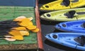 Kayaks for rent on the river Royalty Free Stock Photo