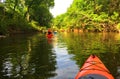 Kayaks on the river