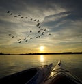 Kayaks at Sunset with Geese Landing