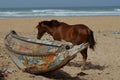 A horse besides an artisanal pirogue in Kayar/Cayar beach, north of Dakar