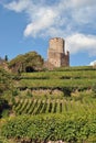 Kaysersberg castle