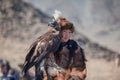 Young Kazakh berkut hunter