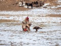 Kazakh eagle hunter in traditional clothing, with a golden eagle on during annual national competition with birds of prey