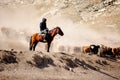 Kazakh herdsmen in Xinjiang Royalty Free Stock Photo