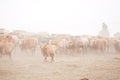 Kazakh herdsmen in Xinjiang Royalty Free Stock Photo