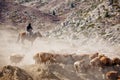 Kazakh herdsmen in Xinjiang Royalty Free Stock Photo