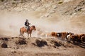 Kazakh herdsmen in Xinjiang Royalty Free Stock Photo