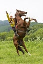 Kazakh man on his horse, Almaty, Kazakhstan