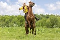 Kazakh man on his horse, Almaty, Kazakhstan