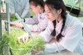 2019-09-01, Kazakhstan, Kostanay. Hydroponics. Schoolgirls in a white coat at a botany lesson in a school lab. Growing green