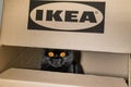 A black British cat sits in a box from an Ikea store.