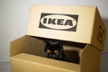 A black British cat sits in a box from an Ikea store.