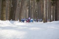 KAZAN, RUSSIA - March, 2018: Athletes skiers running a marathon in the winter woods