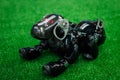 Robot dog Aibo of black color lies on a green artificial lawn