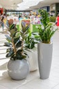 Kazan / Russia - May 10, 2019: Interesting and unusual pots for plants with rounded shapes