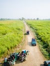 Kaziranga, Assam, India on 13 Nov 2014 - Aerial view of Tourists wating in Jeep for one horned big rhinoceros in the forests of K