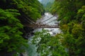 Kazurabashi Bridge Royalty Free Stock Photo