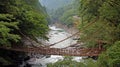 Kazurabashi vine bridge in Iya valley Royalty Free Stock Photo