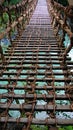 Kazurabashi vine bridge in Iya valley