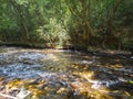 Kbal Spean Siem Reap, Cambodia Royalty Free Stock Photo