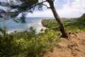 Ke'e Beach from Kalalau trail with tree Royalty Free Stock Photo