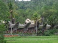 Ke'te Kesu village Tana Toraja in Sulawesi