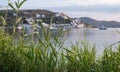 View through green reed plants of Kea island, Tzia, Greece