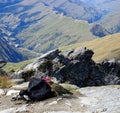 Kea on the top of queenstown mountain Royalty Free Stock Photo