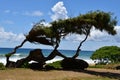 Kealia Beach on Kauai Island in Hawaii