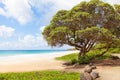 Kealia beach at kauai island