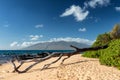 Keawakapu beach in the evening light