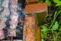 Kebab barbecue on skewers stone oven coal raw