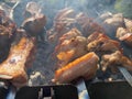 Kebab, chicken wings, lamb, pork, potato on skewer. Juicy delicious shish kebab on skewers. Baked potatoes, mushrooms, salads and Royalty Free Stock Photo
