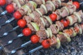 The kebab is cooked on the grill. Juicy meat on charcoal Royalty Free Stock Photo