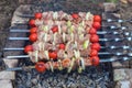 The kebab is cooked on the grill. Juicy meat on charcoal Royalty Free Stock Photo