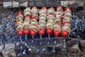 The kebab is cooked on the grill. Juicy meat on charcoal Royalty Free Stock Photo