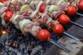 The kebab is cooked on the grill. Juicy meat on charcoal Royalty Free Stock Photo