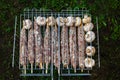 kebab of meat on skewers close-up, grilled mushrooms, meat on the grill