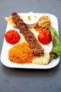 Kebab with rice and vegetables is on a plate Royalty Free Stock Photo