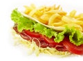 Kebab sandwich and french fries Royalty Free Stock Photo