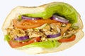 Kebab sandwich on white background Royalty Free Stock Photo
