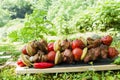 Kebab skewers grilled meat with vegetables in nature Royalty Free Stock Photo